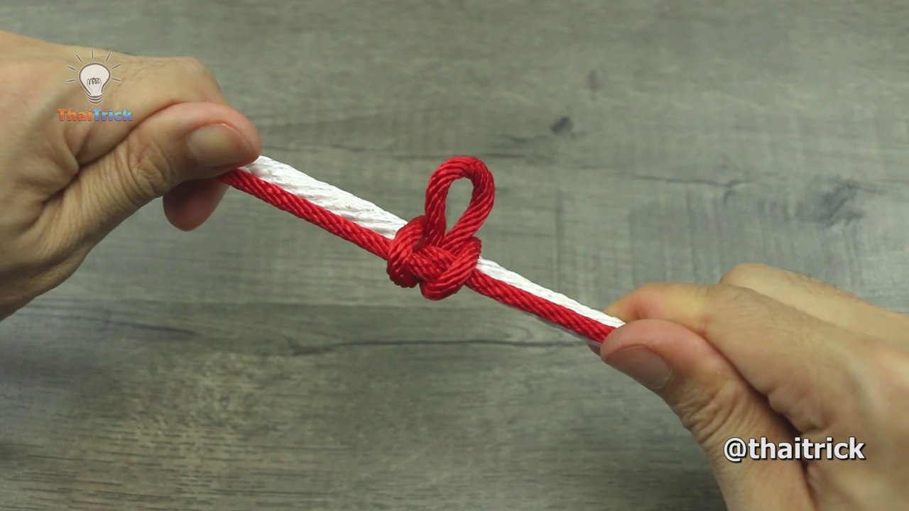12 Knot & Rope Tricks That You Can Do