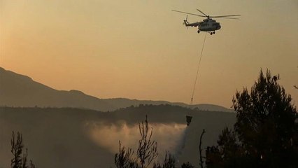 Download Video: Incendios forestales en Grecia obligan a desalojar 4 aldeas