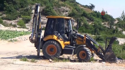 Zeytinlikte başlayan yangın ormana sıçradı