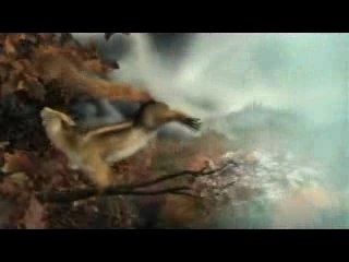 l'écureuil annonce l'hiver