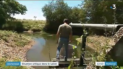 Dans le Loiret, les agriculteurs souffrent de la sécheresse