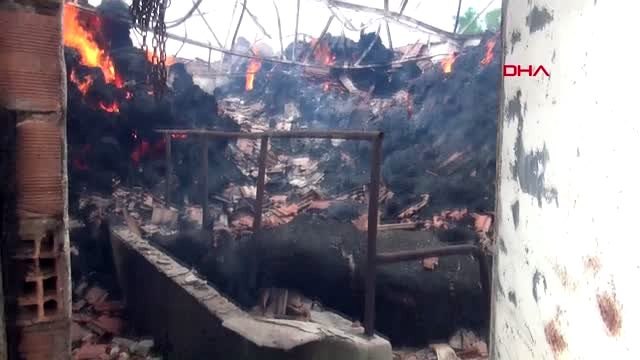 TEKİRDAĞ Ahır yangınında 5 büyükbaş hayvan telef oldu