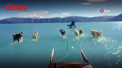 Buzul erimesinin son seviyesini gösteren fotoğrafın videosu paylaşıldı