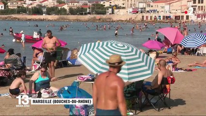 Environnement : la surchauffe de la Méditerranée, un phénomène potentiellement destructeur pour l'écosystème