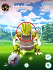 SHINY GROUDON IV 82 CP 2884