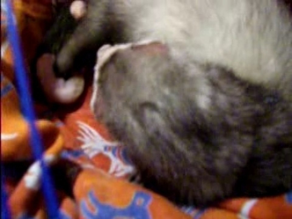 accouchement de Zoé