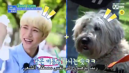 الحلقة الثانية من البرنامج الواقعي حلم واحد - الجزء الثالث