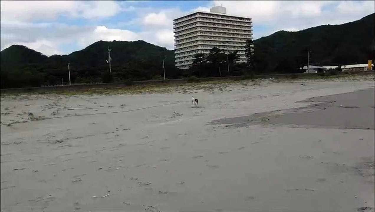 竜宮の磯1