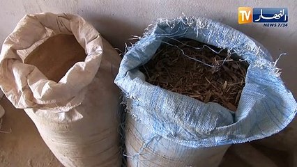 المسيلة  تفكيك ورشة سرية لصنع الشمة التقليدية بالمعاريف