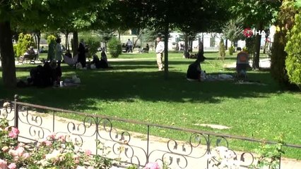 Park ve bahçelerde kene ilaçlaması
