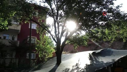 Gümüşhane kırsalında 2 ay sürecek pestil mesaisi başladı