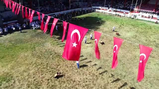 658. Tarihi Kırkpınar Yağlı Güreşleri havadan görüntülendi