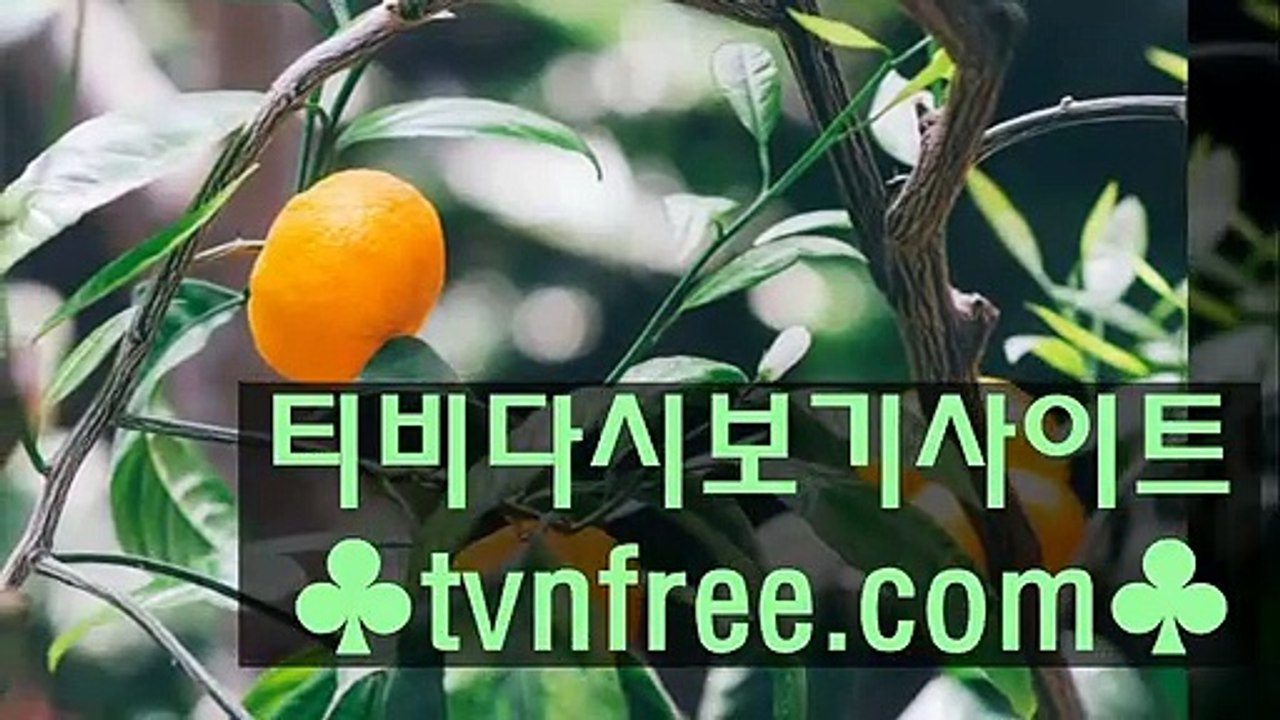 543 티비앤프리 실시간tv무료♥≫≫tvnfree . com ≪≪♥웹하드순위 웹하드순위