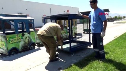 KAYSERİ Yavru aslanı, bakıcılar besliyor