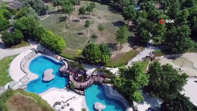 Sıcaktan Bunalan Hayvanlara Buzlu Meyve