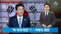 북한 때문에 경제보복?…일본, 한국 농산물 수입규제 조짐