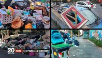 Les ordures s'accumulent dans les rues de Rome ... et les sangliers fouillent les poubelles en pleine ville !