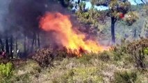 Sultanbeyli Teferrüç ormanında yangın çıktı. Yangına helikopterle müdahale ediliyor.