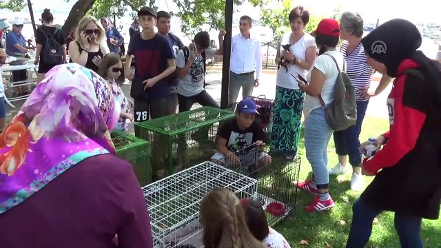 21. Uluslararası, Sevgi, Barış, Dostluk Kültür ve Sanat Festivali - ZONGULDAK