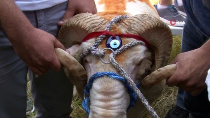 Kırkpınar’a tek ağa aday oldu