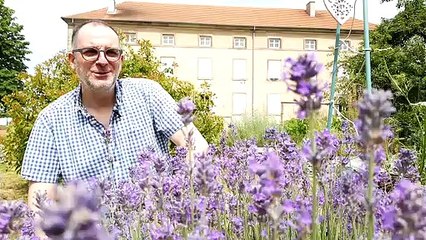 75 jeunes symphonistes de Moselle réunis à Sarrebourg