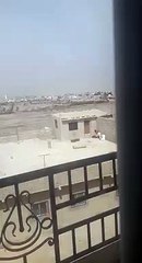 Kawtef ! Il jette son dévolu sur la brebis, Regardez !