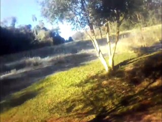 Internauta mostra forte geada que atingiu comunidade de Rio do Salto