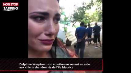 Delphine Wespiser : son émotion en venant en aide aux chiens abandonnés de l'île Maurice (vidéo)