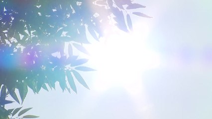 여름철 무더위 본격 시작...일사병·열사병 주의해야 / YTN