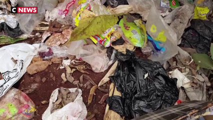 Loi anti-gaspillage : la guerre au plastique est déclarée