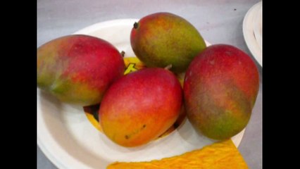 MANGO MANIA-THE KING OF ANOTHER KIND