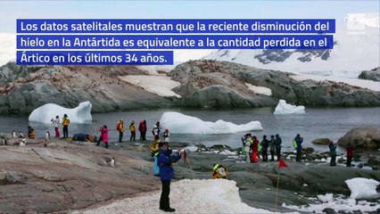 El hielo marino antártico está disminuyendo rápidamente