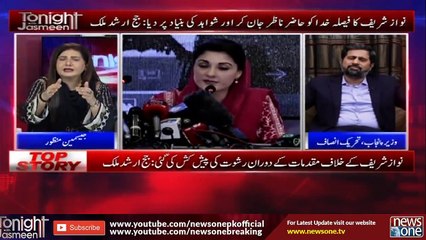 Maryam Safdar slaps Shehbaz Sharif's politics: Fayaz-ul-Hasan Chohan