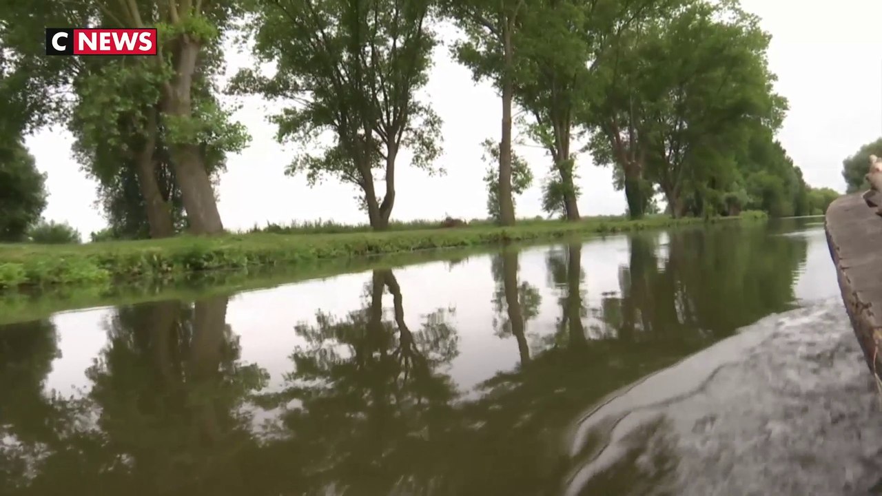 À la découverte des marais de l’Audomarois