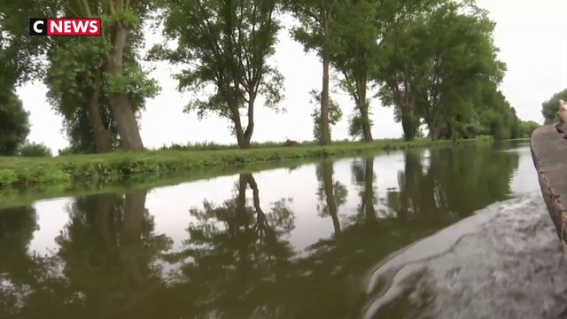 À la découverte des marais de l’Audomarois