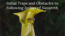 Traps and Obstacles to Following Joshua of Nazareth