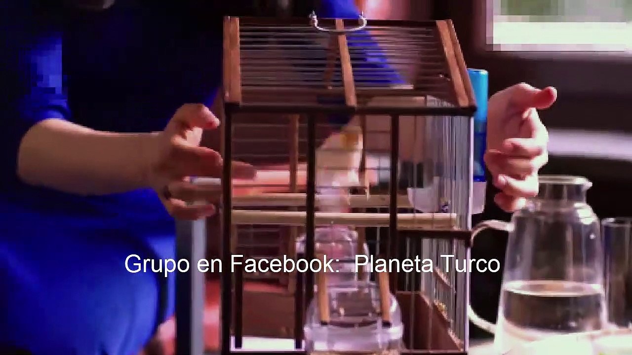 Yemin (The Promise) Capitulo 43