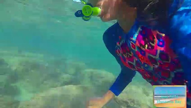 Hanauma Bay Snorkel 01