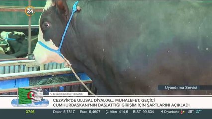 Kurbanlık alırken nelere dikkat etmeliyiz?