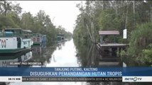 Menjelajah Taman Nasional Tanjung Puting