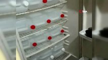 Ceyhan'da sahte içki operasyonu: 150 litre kaçak alkol ele geçirildi