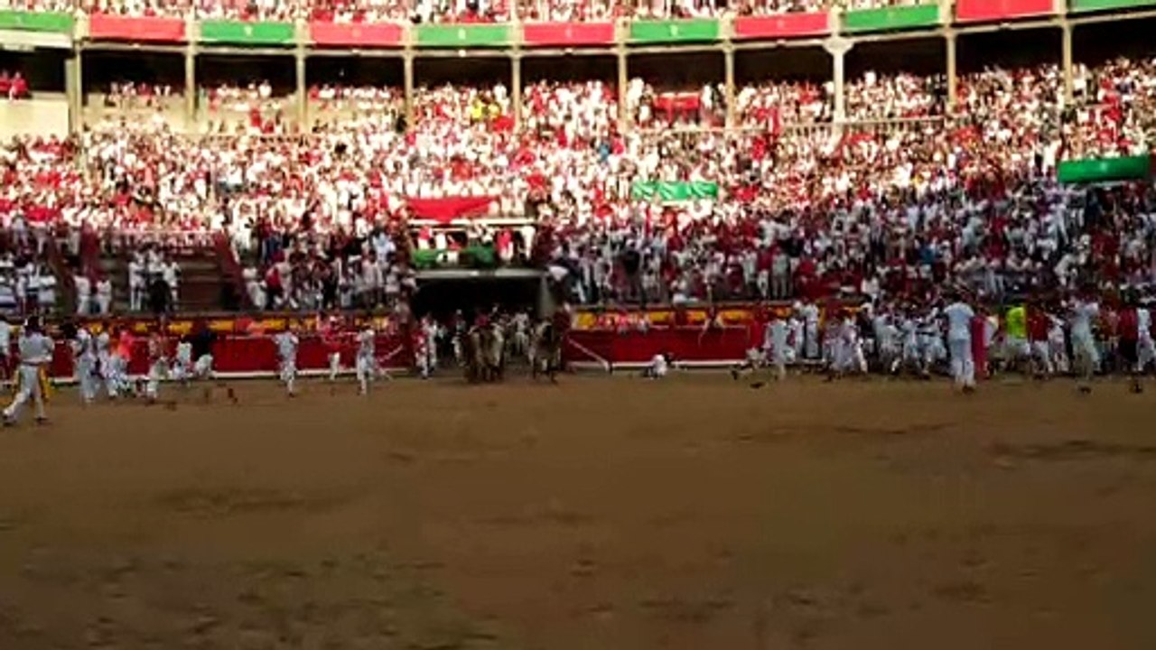 Llegada de los toros de Cebada Gago a la Plaza de Toros de Pamplona.