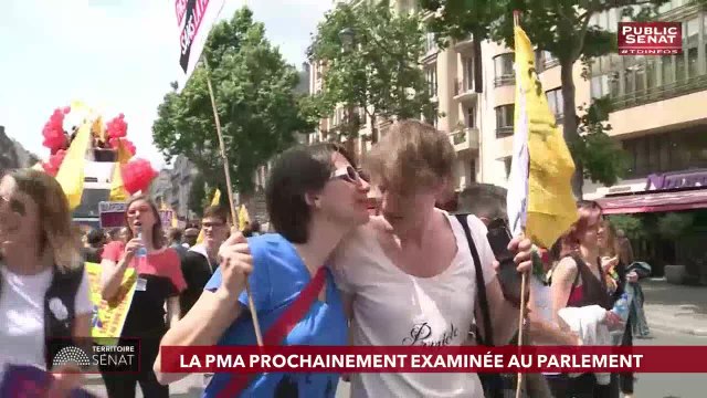 Invité : David Assouline - Territoire Sénat (08/07/2019)