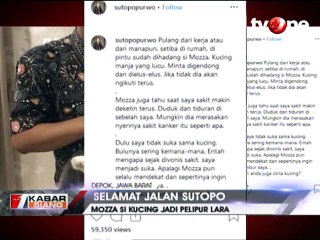 Mozza, Kucing Sutopo yang Setia Menghibur Usai Kemoterapi