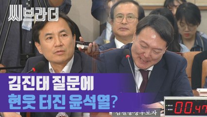 김진태 질문에 웃음 터진 윤석열? ‘검찰총장 후보자 인사청문회’ [C브라더]