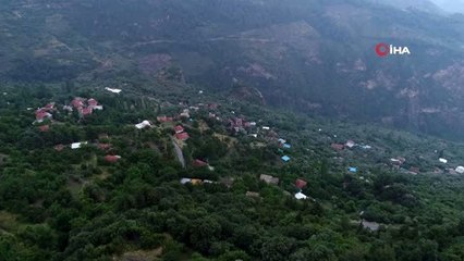 9 ay 4 kilometrelik mesafeyi suyun içinde gidip geliyorlar