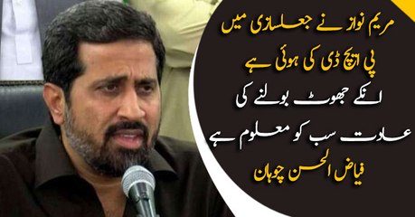 Fayyazul Hassan bashes Maryam Nawaz during press conference