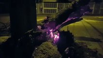 Incêndio em árvore mobiliza o Corpo de Bombeiros na Neva
