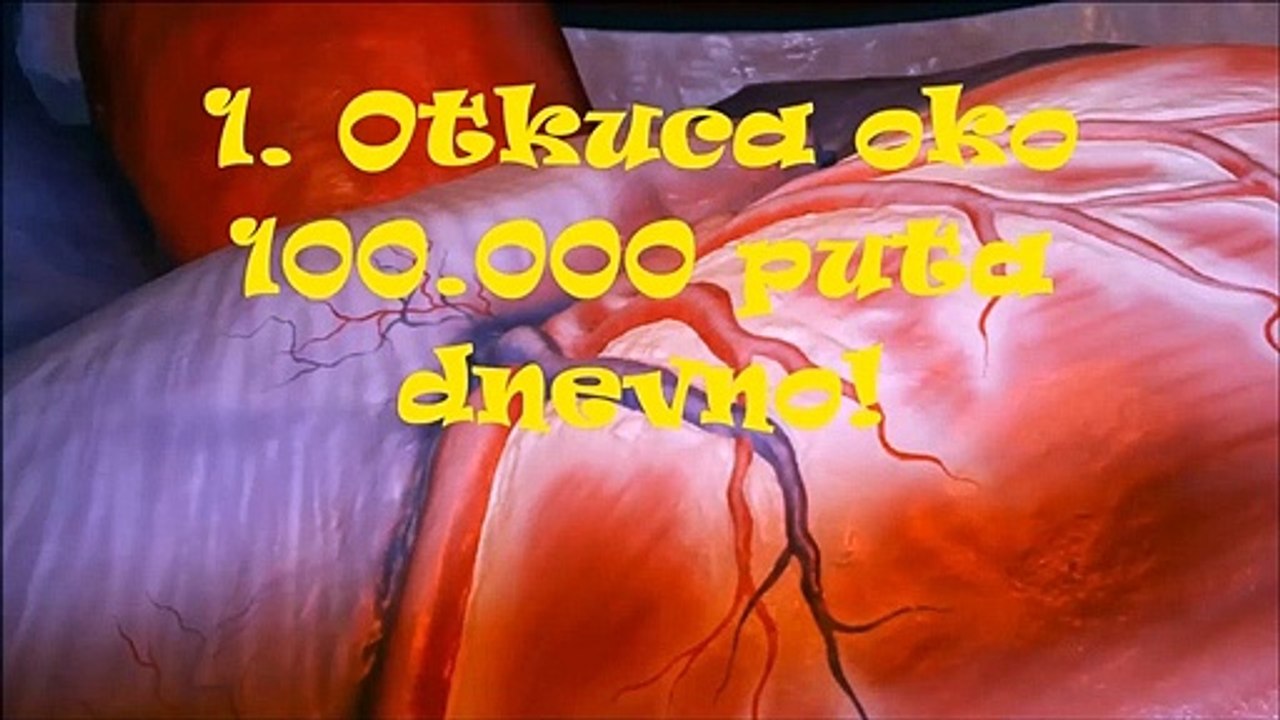 Interesantne Činjenice o Srcu