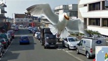 Las imágenes mas divertidas captadas por Google Street View